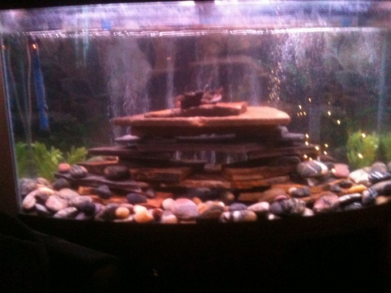 Gravel & River Rock Classic Rock Stone Yard