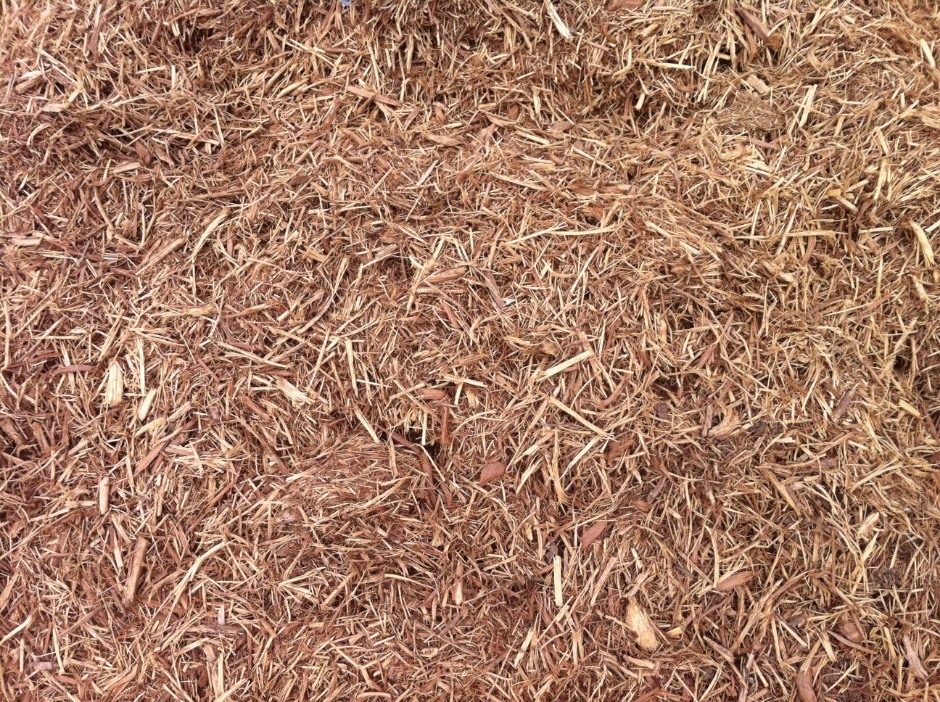 top 28 is cedar mulch for plants mulch cedar mulch cedar mulch earth and woods mulch top 28 is cedar mulch for plants mulch cedar mulch cedar mulch earth and woods mulch