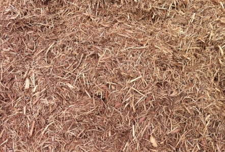 Cedar Mulch