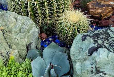 Close up of Green Fern Boulders used in a customer's yard.