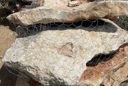 Limestone Boulders