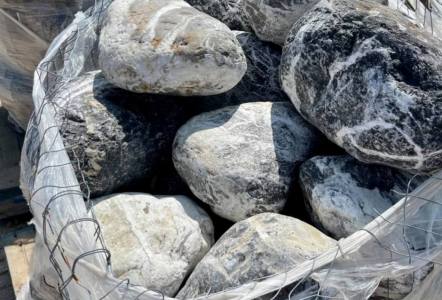 Moon Rocks