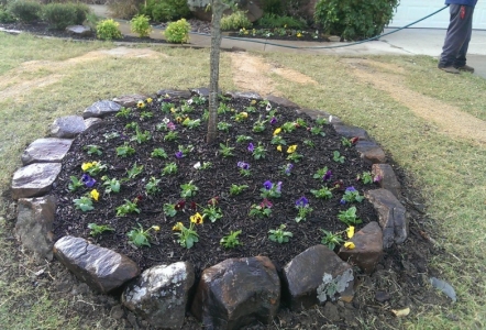 Moss Boulders as edging.