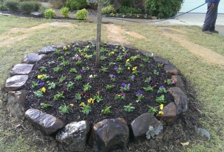 Moss Boulders as edging.