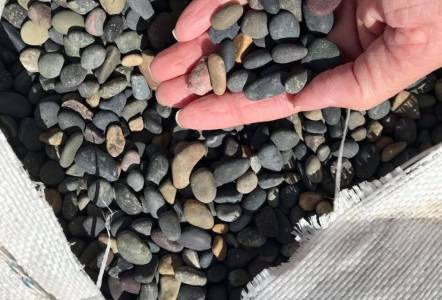 Mexican Beach Pebbles 1/4