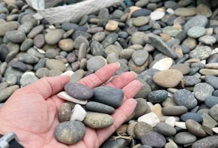 Mexican Beach Pebbles with Shells $0.40/pound