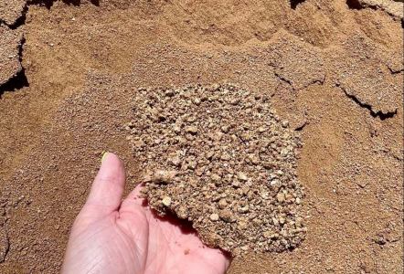 Decomposed Granite $100/yard
