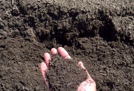 Premium Soil $55/yard - Sandy Loam and Compost Mix ready to plant